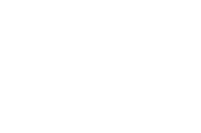 logo catalis w