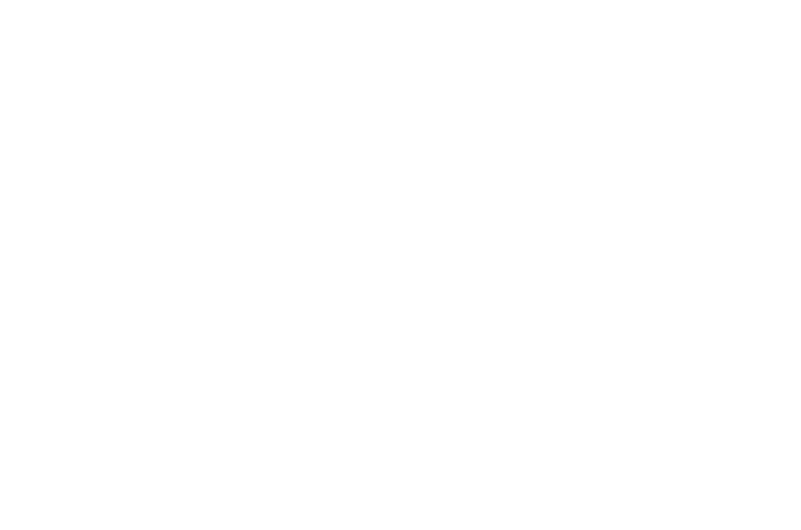 logo catalis w